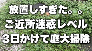 1年間放置と猛暑で荒れ地になった庭を本気で大掃除します。