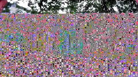 Micro HDZERO Shark Byte 200mw penetration test 2