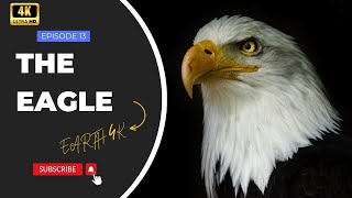 The Eagle | The Earth 4K | 4K ( 2160p )