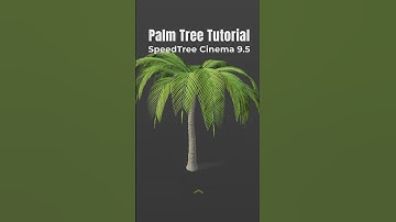 SpeedTree Cinema 9.5 : Palm Tree Tutorial