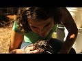 You May Find These Things Gross, But Wait 'Til You See What They Can Do
