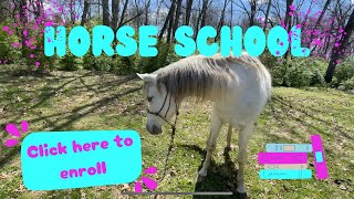 Welcome to Horse School! (Skit) READ DESC