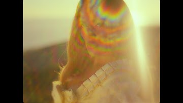 Tainy - Única with Karol G (Official Music Video)