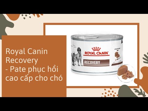 Pate Royal Canin Recovery - Thực Phẩm Hỗ Trợ Hồi Phục Sức Khỏe