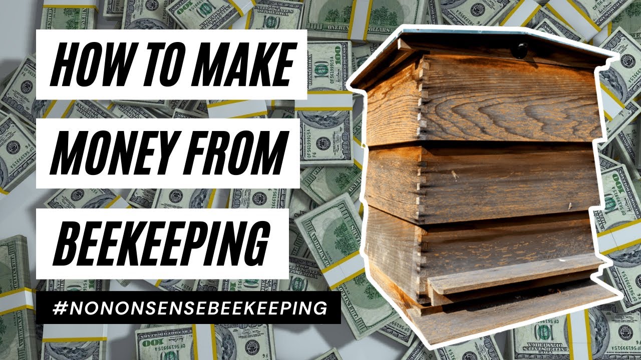 Make Money from Bees - How To Make Money from Beekeeping - How Much Do