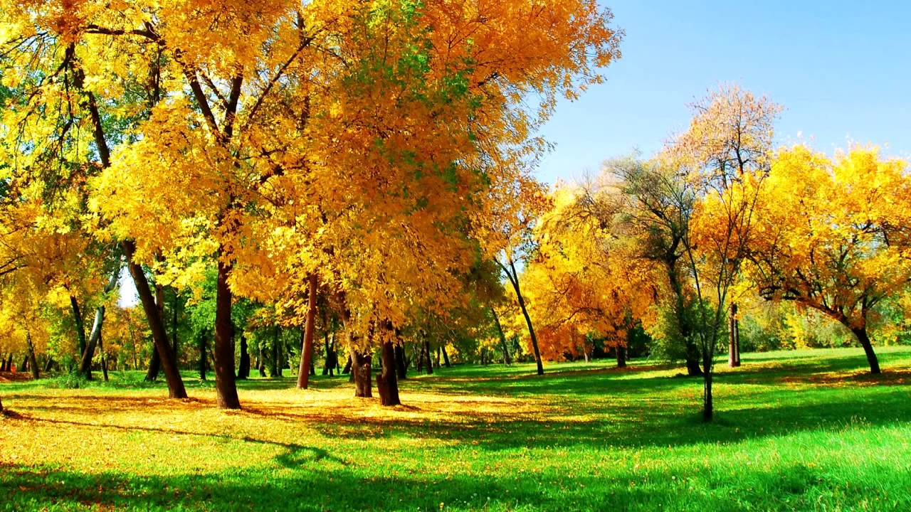 Coletânea Gospel Voz e violão vol II   O melhor dos louvores