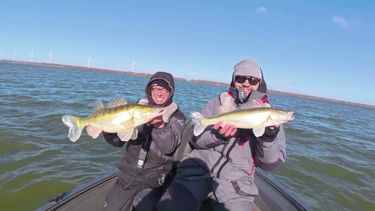 double zander hook up