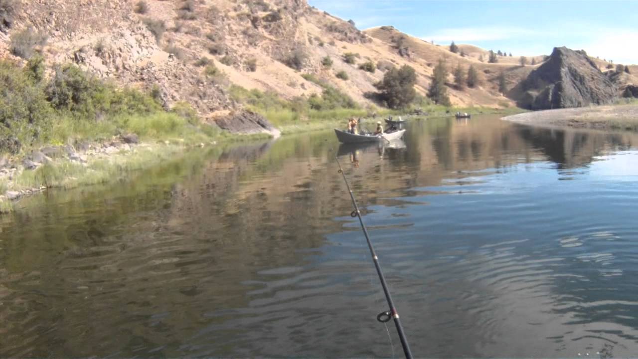 John Day River Smallmouth Bass Fishing - YouTube