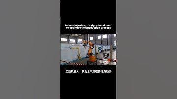 Industrial robot, the right-hand man to optimize the production process #robotics #palletizer