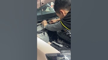 Vị trí mà chuột hay chui vào trong xe của bạn nhất #otoamika