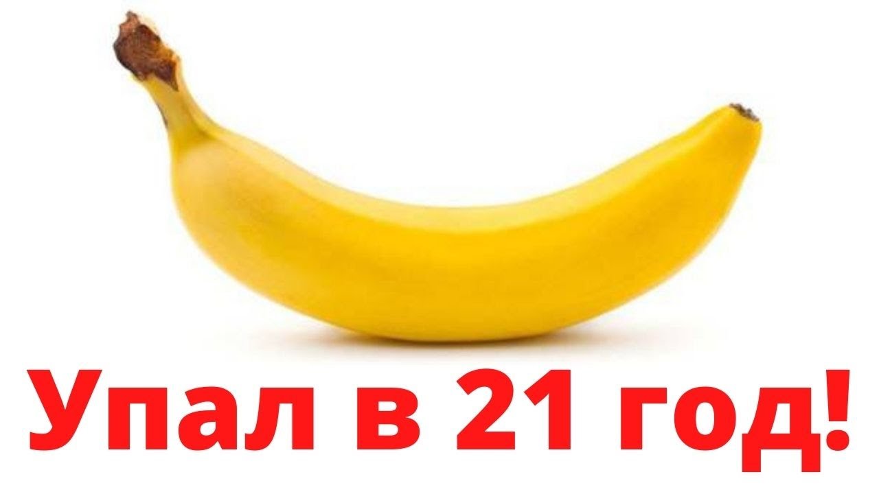 Додж 21 года