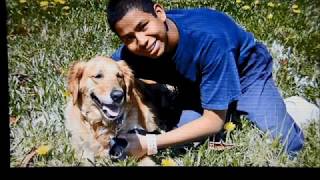 Shelter Me - Second Chances (PBS Documentary) 8 minute version - Cell Dogs