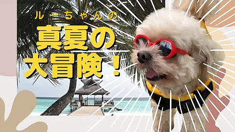 かんさいべんしゃべっt かんさいべんしゃべっt