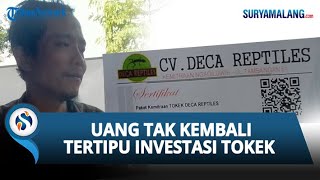 Berharap Untung Dari Investasi Tokek Malah Buntung Uang Tak Kembali