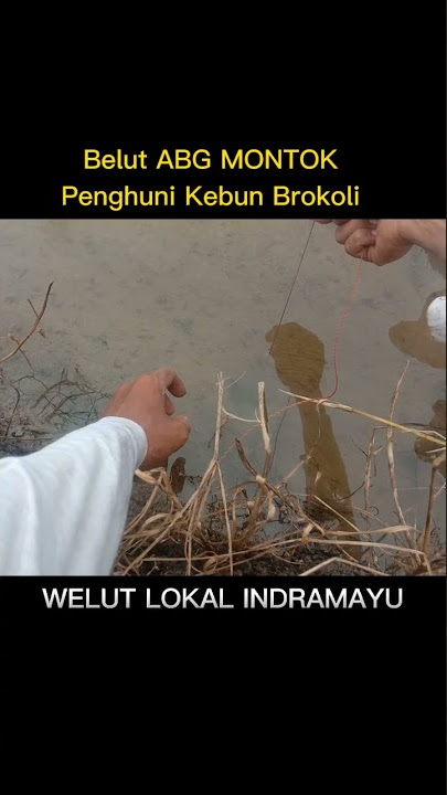 BELUT ABG MONTOK PENGHUNI KEBUN BROKOLI | LUBANG BAWAH AIR TIDAK PERNAH GAGAL‼️