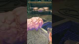 Bubbles Was A Great Cystipig. Say Her Name