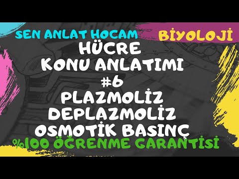 Video: Bitki hücresinde plazmoliz nedir?