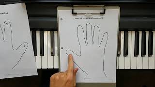 P. 2-3 - Finger Numbers