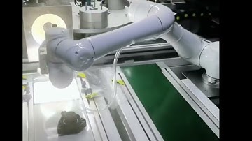 🔧 Double the Robots, Double the Precision: Cobot + SCARA Team Up for Automotive Inspection!