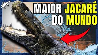 Animais Insanos Da Pré-História Brasileira