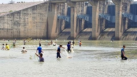 Người dân bắt cá tại đập thủy điện Trị An - Tin tức