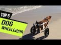 Best Dog Wheelchair of 2020 [Top 6 Picks]