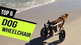 Best Dog Wheelchair of 2020 [Top 6 Picks]