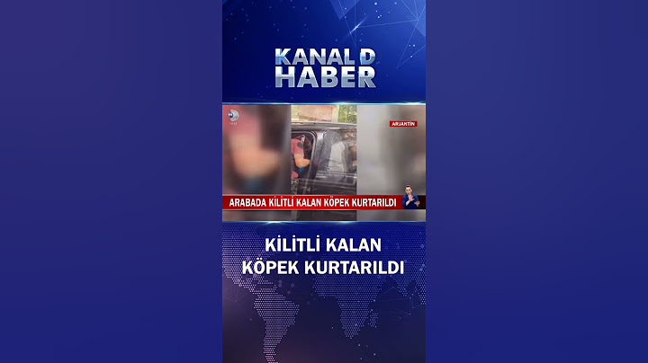 Arjantin'de Kurtarma Operasyonu! Arabada Kilitli Kalan Köpek Böyle Kurtarıldı