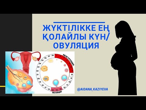 Бейне: Неліктен ит жалған жүктілікке ие болады?