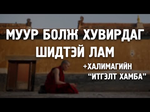 Видео: Муур дахь оптик мэдрэлийн хаван