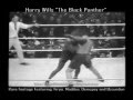 Harry Wills | "The Black Panther" vs Firpo, Madden, Uzcundun, Newsreels and Dempsey