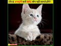 टॉप 6 अनसुनी बातें जिसे 99% लोग नहीं जानते? | #shorts #youtubeshorts #ytshorts