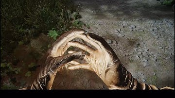 Note - Two Hand Magic Equip Idle Animation - First Person #skyrim #skyrimse