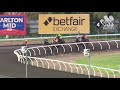 View race 5 video for 2019-01-12