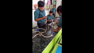 Onion Peel Experiment – A Peek into Plant Cells! 🔬🔬