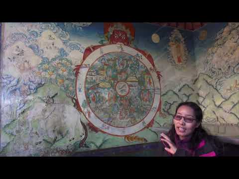 Vídeo: Conheça Um Especialista: Tibet - Matador Network