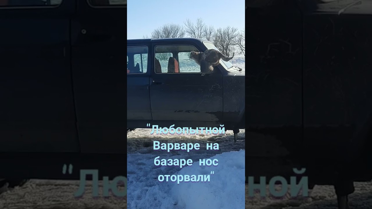 Любопытной варваре на базаре нос оторвали картинка загадка