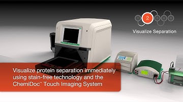 The V3 Western Workflow™ with ChemiDoc™ Touch Imaging System for Drug Discovery & Development
