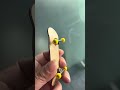 Fingerboard’s wheels with bearings #fingerboard #fingerskateboard #fingerskate #skateboard