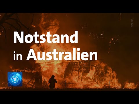 Video: Hat das Buschfeuer in Australien aufgehört?