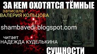 картинка: За кем охотятся тёмные сущности.Послание Велеса ,записала Валерия Кольцова (shambavedi.blogspot.com)