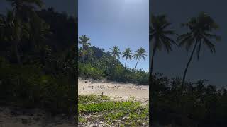 The Help Me Sign From Castaway Island, Fiji