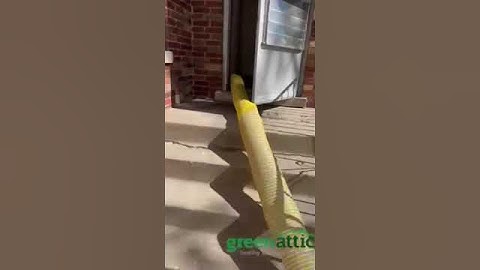 🌱Blown In Cellulose Insulation