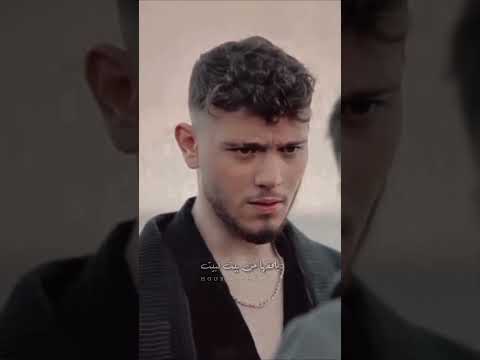 بشبوش عاشق بشه