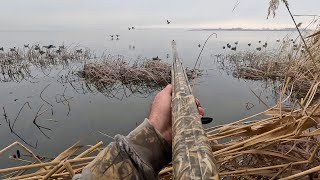 Duck Hunting Triple | Mallards