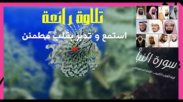 سورة النبأ كاملة بجودة عالية  💜 تلاوه مريحه للقلب ومهدئه للاعصاب💚 نور القرآن | Quran Light