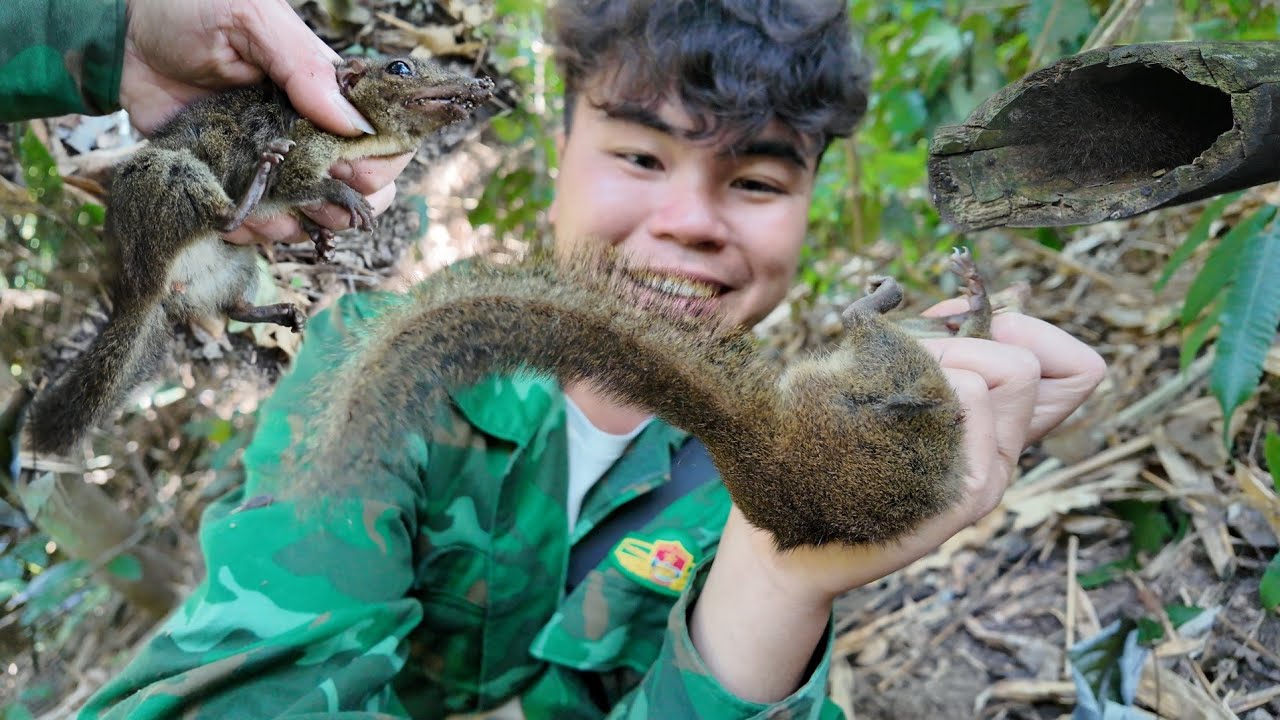 Lên Rừng Gặp Bé Sóc Bị Kẹt Trong Ống Tre | Dân Tộc Tây Bắc Tv