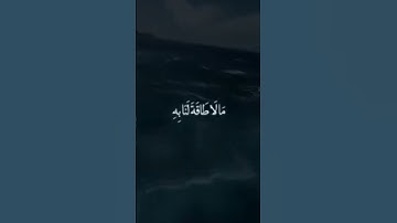 صباح الخير ❤ القرآن الكريم بصوت خاشع 💜😢
