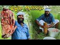 എല്ലും കപ്പയും കഴിക്കാൻ പോരുന്നോ ? | Tasty Beef Ribs & Tapioca Recipe | How To Make Ellum Kappayum