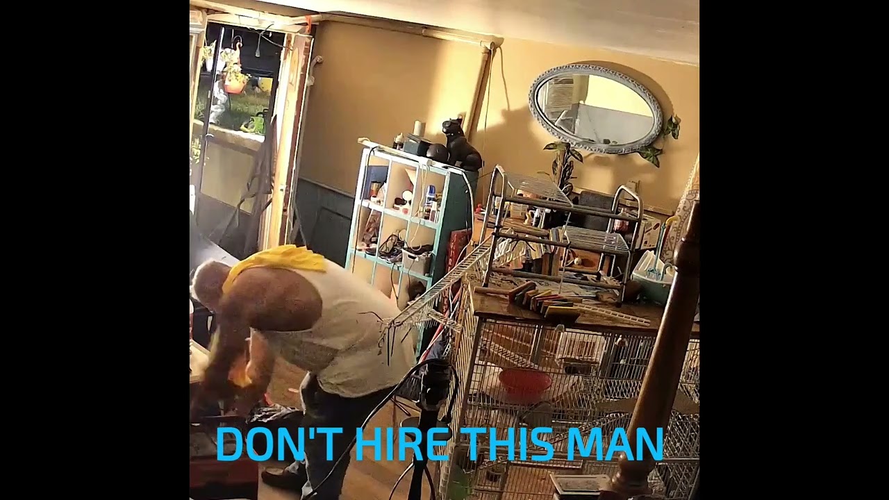 CLUMSY THIEF Big D's lawn & tree, not so handy man aka Dion AINESWORTH  stealing 